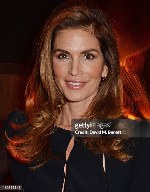 Cindy Crawford attends a private dinner celebrating the opening of the OMEGA Oxford Street boutique at Aqua Shard on December 10, 2014 in London,...