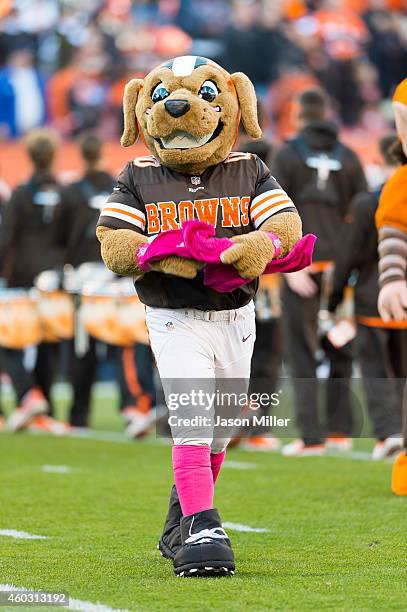 Cleveland Browns mascot Chomps on the field prior to the game against the Oakland Raiders during at FirstEnergy Stadium on October 26, 2014 in...