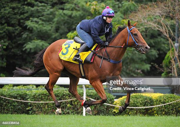 Melanie Sharpe riding Buffering on the Turf during a trackwork session at Sha Tin Racecourse on December 12, 2014 in Hong Kong, Hong Kong.