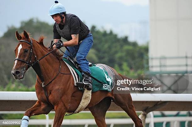 Steve Nicholson riding Red Cadeaux gallops on the All Weather Track during a trackwork session at Sha Tin Racecourse on December 12, 2014 in Hong...