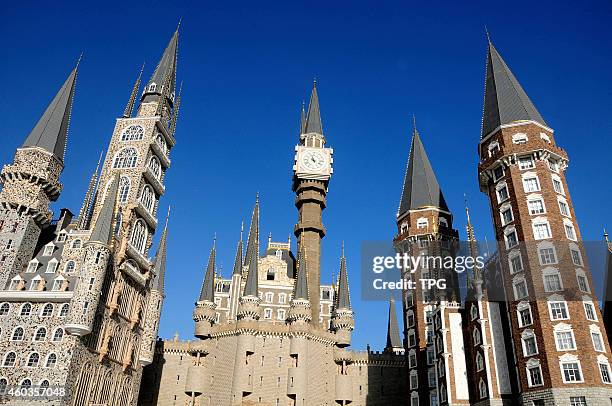 The college of fine arts which builts like Hogwarts School of Witchcraft and Wizardry begins of term on 12th December, 2014 in Shijiazhuang, Hebei,...