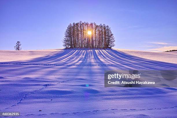 a looming shadow - japan snow stockfoto's en -beelden