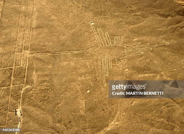 Aerial view of the Hummingbird, one of the most well-preserved figures at Nazca Lines, some 435 km south of Lima, Peru on December 11, 2014....
