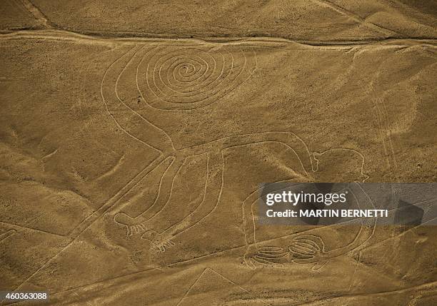 Aerial view of the Monkey geoglyph at Nazca Lines? some 435 km south of Lima, Peru on December 11, 2014. Geoglyphs can be seen only from atop the...