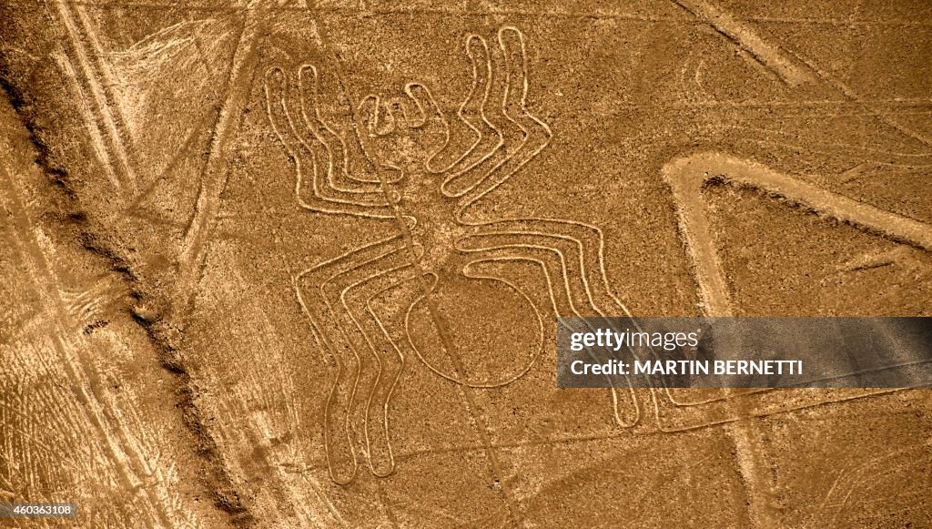 PERU-NAZCA LINES-SPIDER