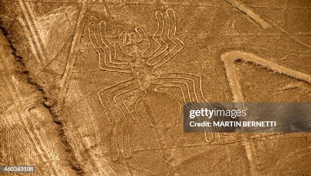 Aerial view of the Spider at Nazca Lines, some 435 km south of Lima, Peru on December 11, 2014. Geoglyphs can be seen only from atop the surrounding...