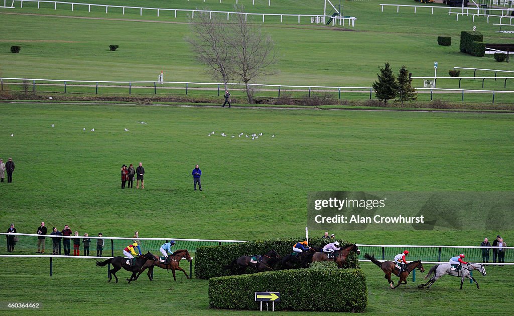 Cheltenham Races