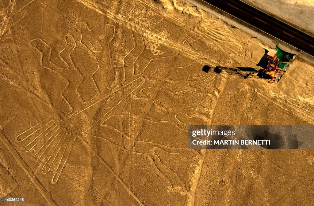 PERU-NAZCA LINES-GUARANGO TREE