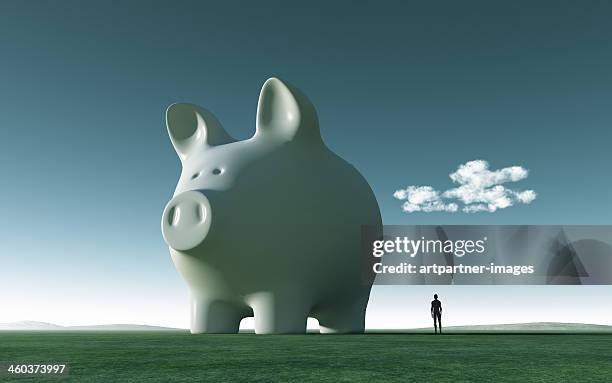 huge white piggy bank on green gras - piggy bank stock-fotos und bilder