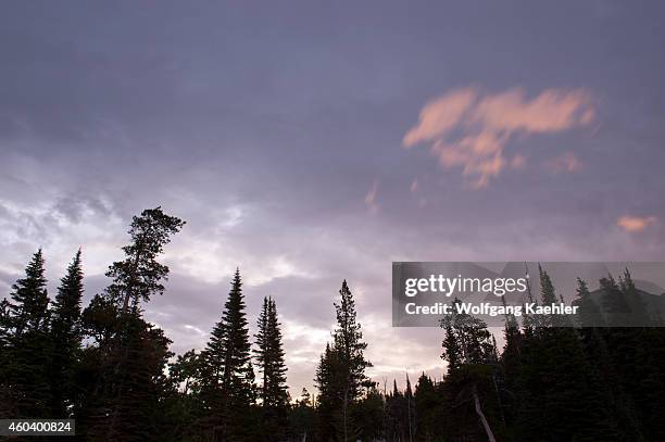 Trees silhouetted against morning sky at Two Medicine Lake on the eastern edge of Glacier National Park, Montana, United States.