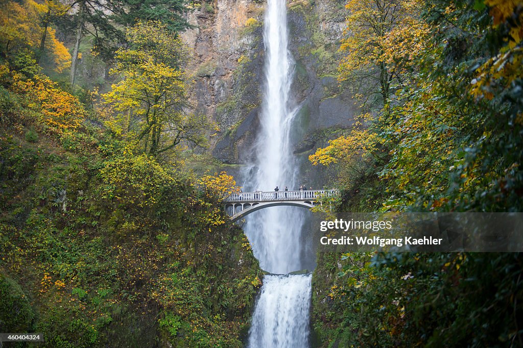 View of Multnomah Falls with foot bridge in the fall, a...