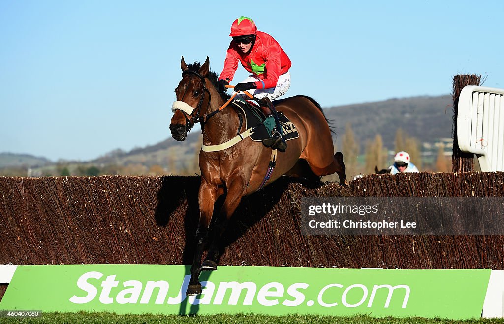 Cheltenham Races