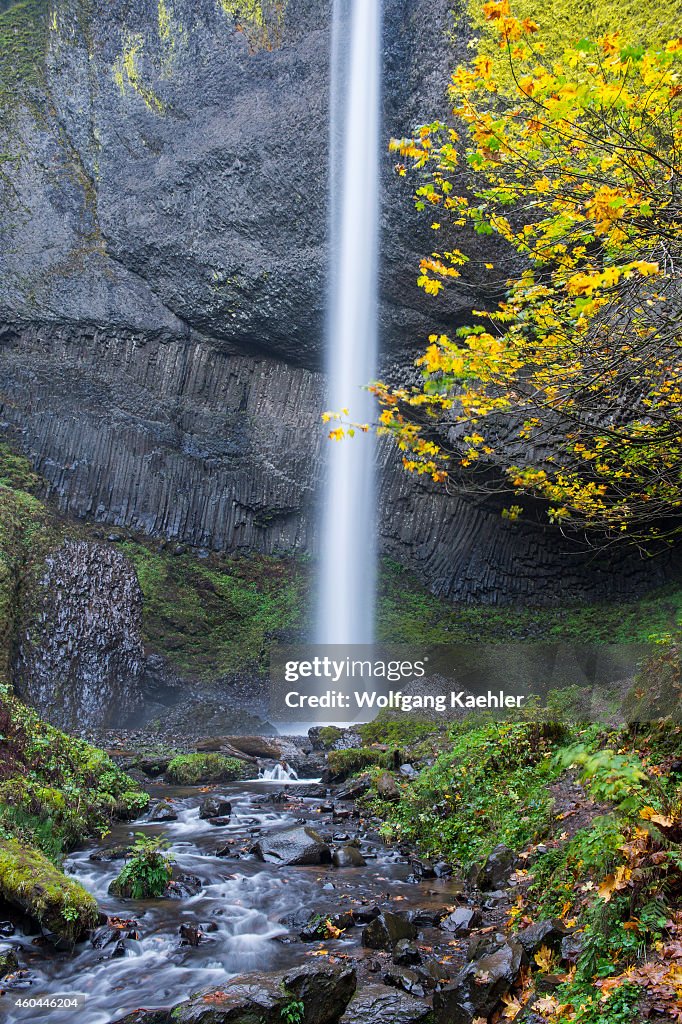 View of Latourell Falls in the fall, a waterfall near...