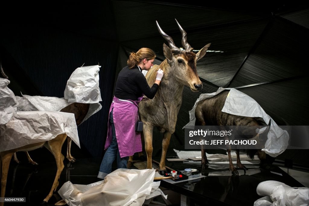 FRANCE-MUSEUM-SCIENCE-ANTHROPOLOGY