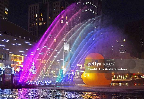 The Rubber Duck, the artwork by Dutch artist Florentijn Hofman is illuminated during the test lighting of hte Nakanoshima Water Fantasia on December...