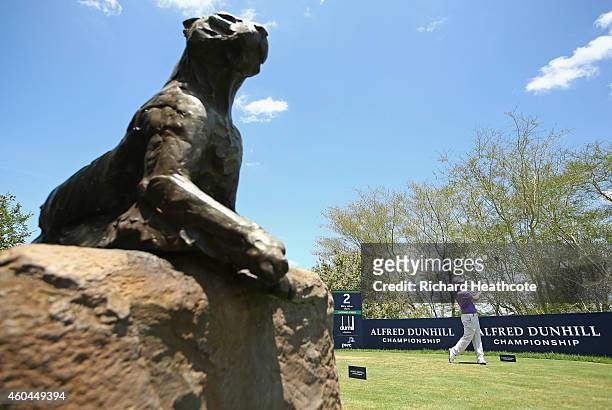 Branden Grace of South Africa tee's off at the 2nd during the final round of the Alfred Dunhill Championship at Leopard Creek Country Golf Club on...
