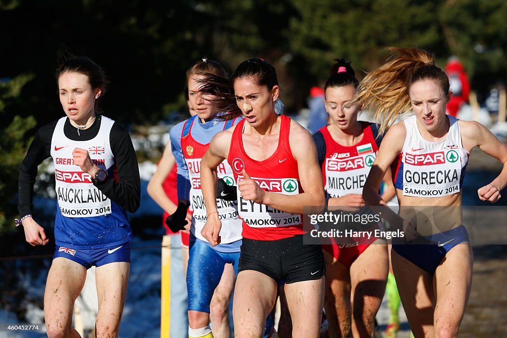European Cross-Country Championships