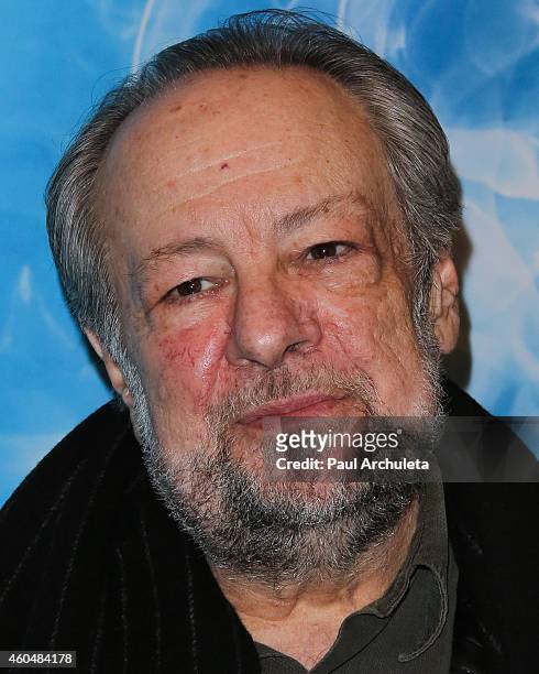 Actor Ricky Jay attends the "Blithe Spirit" opening night performance at The Ahmanson Theatre on December 14, 2014 in Los Angeles, California.