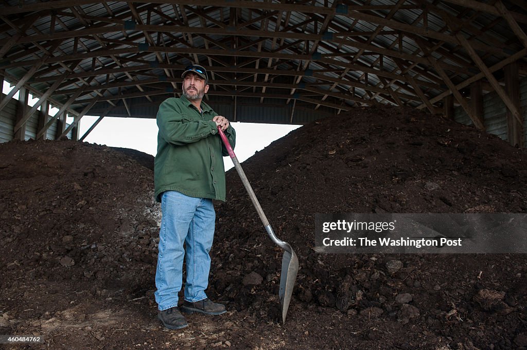 Leo Richardson on his chicken farm in Willards, MD.