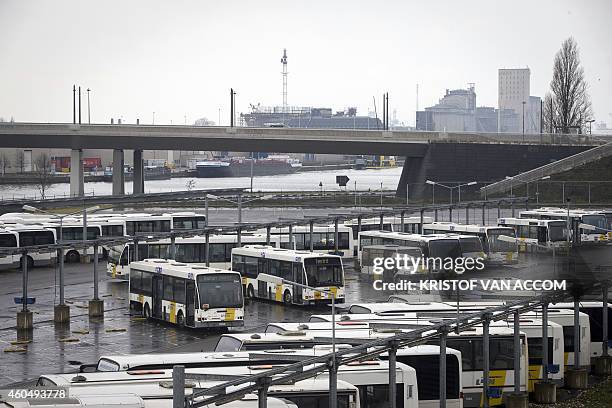 Photo shows shows buses of public transport company De Lijn during a general national strike on December 15, 2014. Today's strike follows a series of...