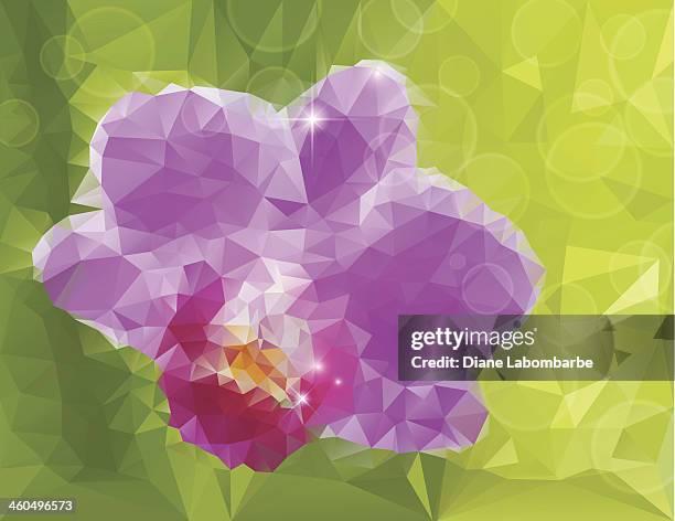 polygon orchid background - orchids stock illustrations
