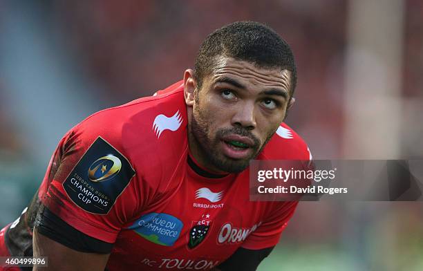 Bryan Habana of Toulon looks on during the European Rugby Champions Cup pool three match between RC Toulon and Leicester Tigers at Felix Mayol...
