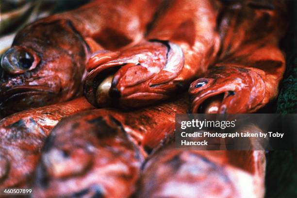 red fishes - grand central market los angeles - fotografias e filmes do acervo