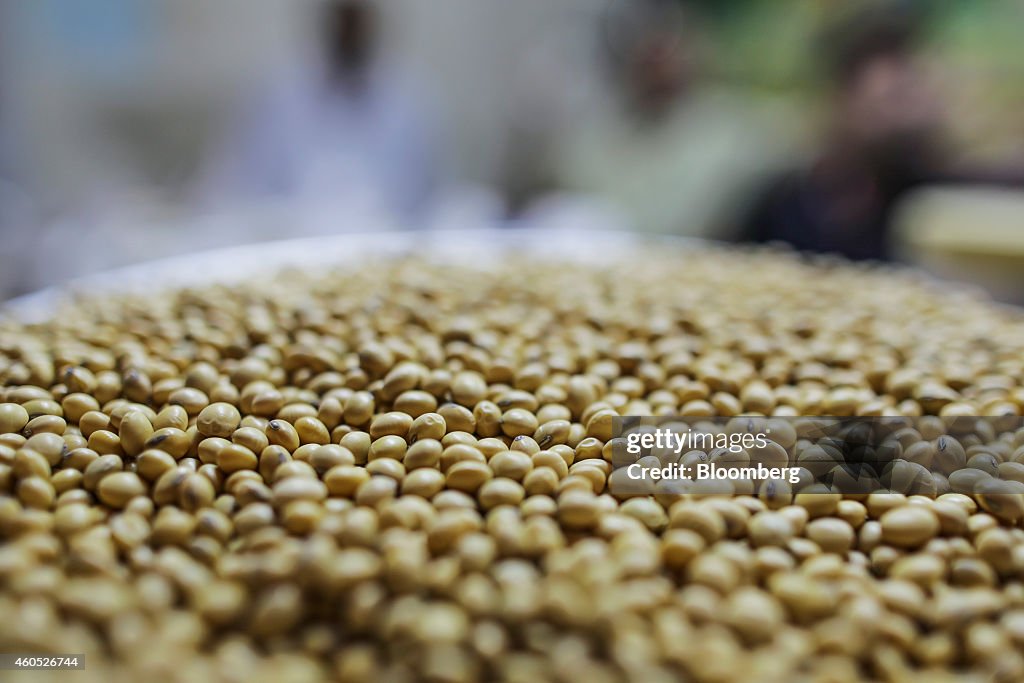 Soybean and Rice At Vashi Market As Wholesale Prices Unexpectedly Stagnate