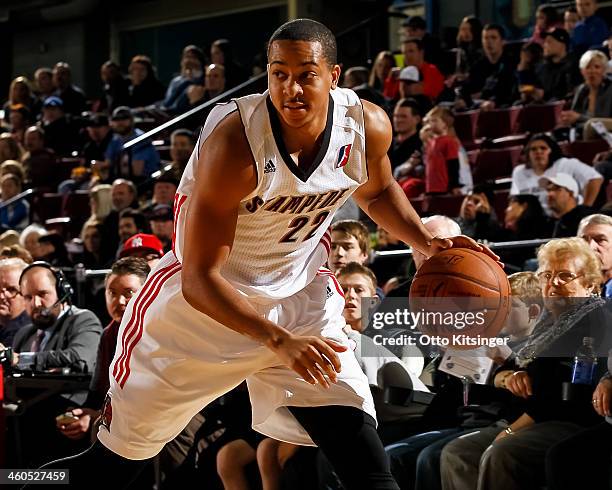 McCollum of the Idaho Stampede controls the ball during an NBA D-League game against the Rio Grande Vipers on January 3, 2014 at CenturyLink Arena in...