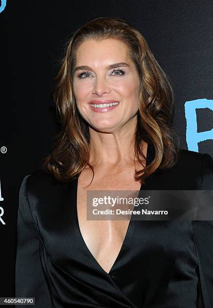 Actress Brooke Shields attends "Big Eyes" New York Premiere at Museum of Modern Art on December 15, 2014 in New York City.