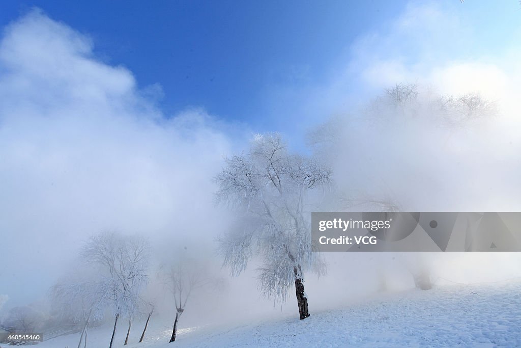 Soft Rime In Jilin