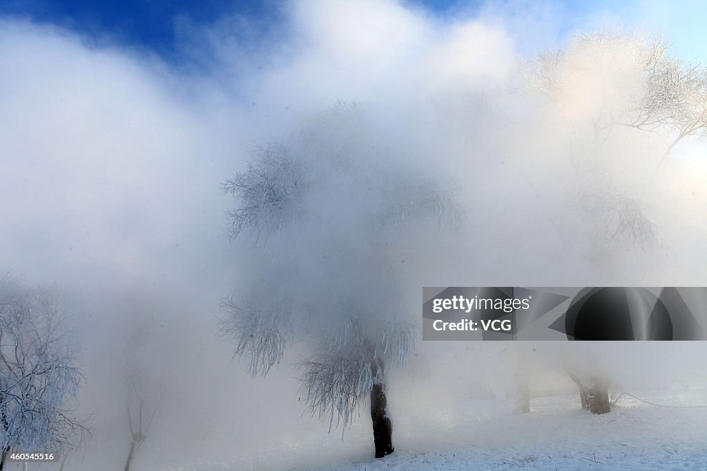 Soft Rime In Jilin