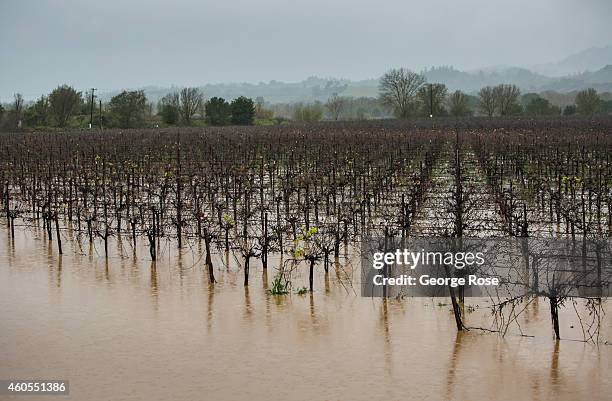 Eight inches of rain fell on Northern California's Wine Country in a 24-hour period causing widespread flooding on December 11 in Healdsburg,...