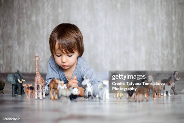 boy, playing with animal toys - toy animal stock-fotos und bilder