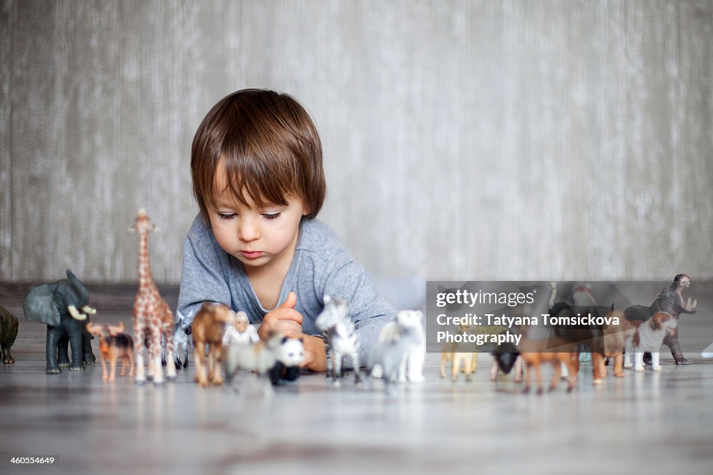 Boy, playing with animal toys