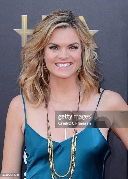 Missi Pyle attends the 18th Annual Hollywood Film Awards at The Palladium on November 14, 2014 in Hollywood, California.