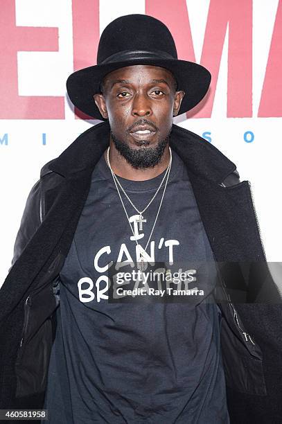 Actor Michael K. Williams enters the "Selma" New York Premiere at the Ziegfeld Theater on December 14, 2014 in New York City.