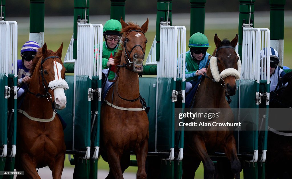 Lingfield Races