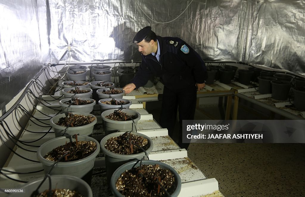 PALESTINIAN-POLICE-DRUG