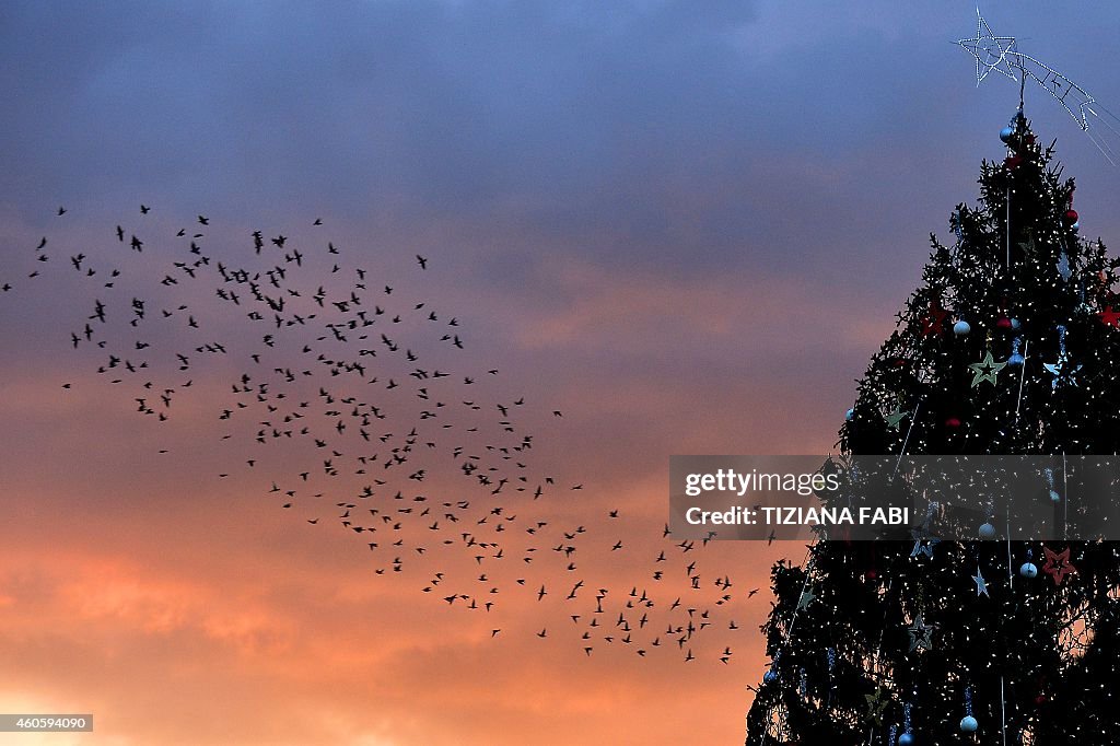 ITALY-BIRDS-STARLINGS-FEATURE