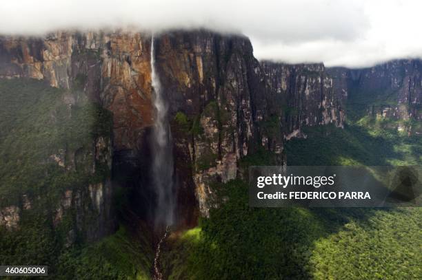 Aerial view taken on December 16, 2014 of the Angel Falls , the world's highest waterfall, with a height of 979 meters , located in Canaima National...