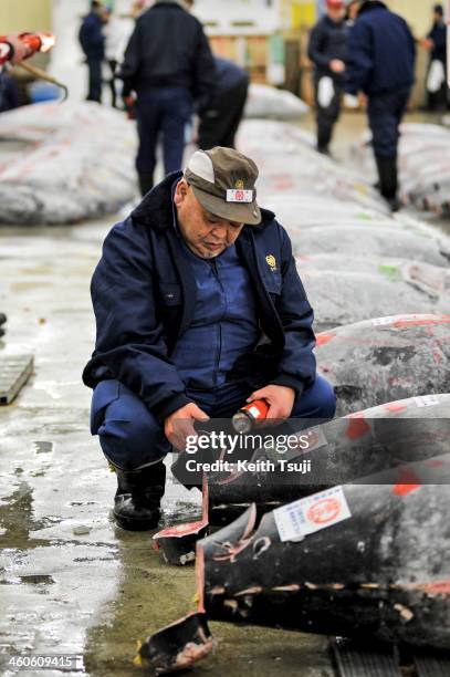 Buyer inspects frozen Bluefin tuna carefully before the year's first tuna auction at Tsukiji Fish Market on January 5, 2014 in Tokyo, Japan. Tsukiji...