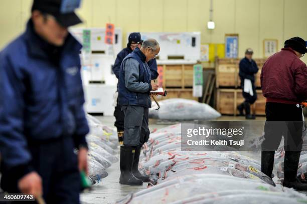 Buyer inspects frozen Bluefin tuna carefully before the year's first tuna auction at Tsukiji Fish Market on January 5, 2014 in Tokyo, Japan. Tsukiji...