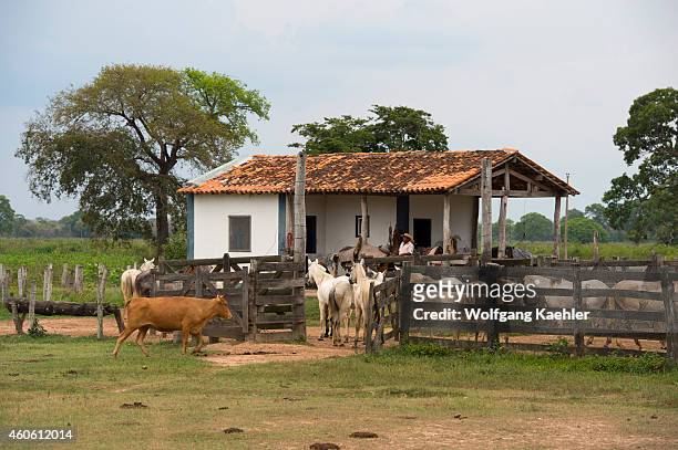 House of the workers at the Campo Grande facienda near the Pixaim River in the northern Pantanal, Mato Grosso province of Brazil.