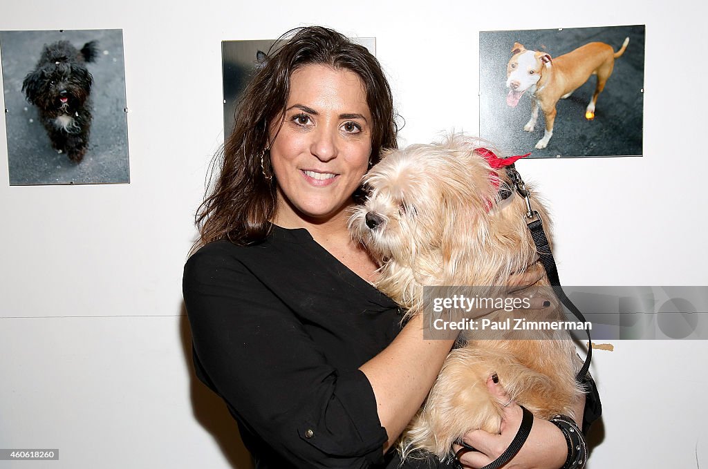 Pet Portrait Exhibition By Jamie McCarthy To Benefit Animal Care & Control Of NYC