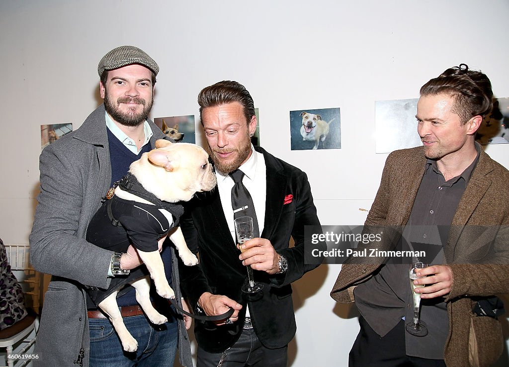 Pet Portrait Exhibition By Jamie McCarthy To Benefit Animal Care & Control Of NYC