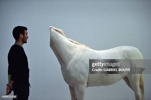 Man looks at a decapitated horse, an art piece by Chinese artist Huang Yong Ping, during a press preview of the exhibition "Bugarach" at the Maxxi...