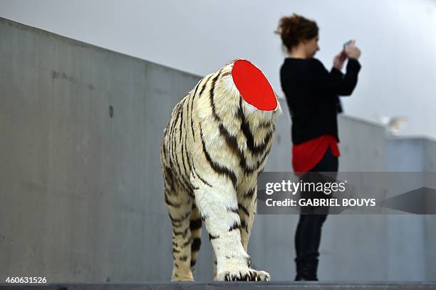 Woman stands next to a decapitated tiger, an art piece by Chinese artist Huang Yong Ping, during a press preview of the exhibition "Bugarach" at the...