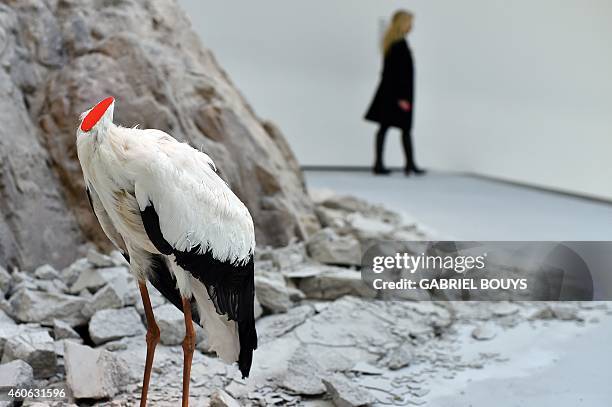 Picture shows a decapitated stork, an art piece by Chinese artist Huang Yong Ping, during a press preview of the exhibition "Bugarach" at the Maxxi...