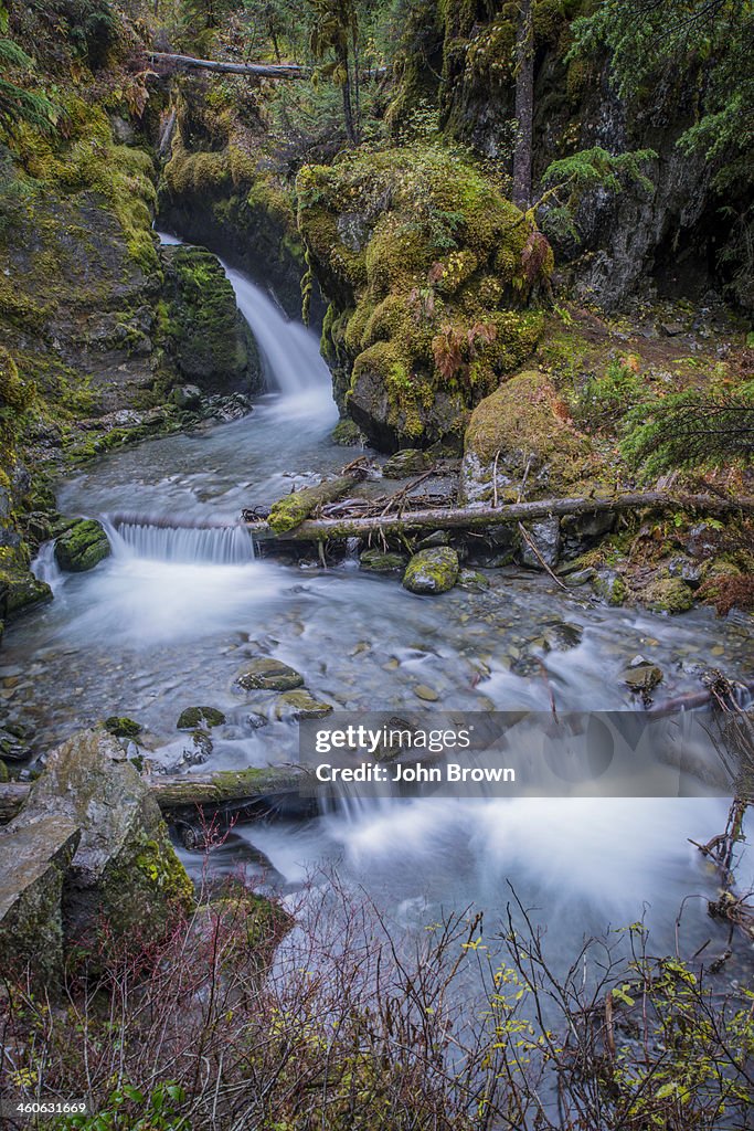 Virgin Creek, Chugach State Park